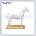 PNT-AM42 venta caliente caballo acupuntura Modelo anatomía animal modelo